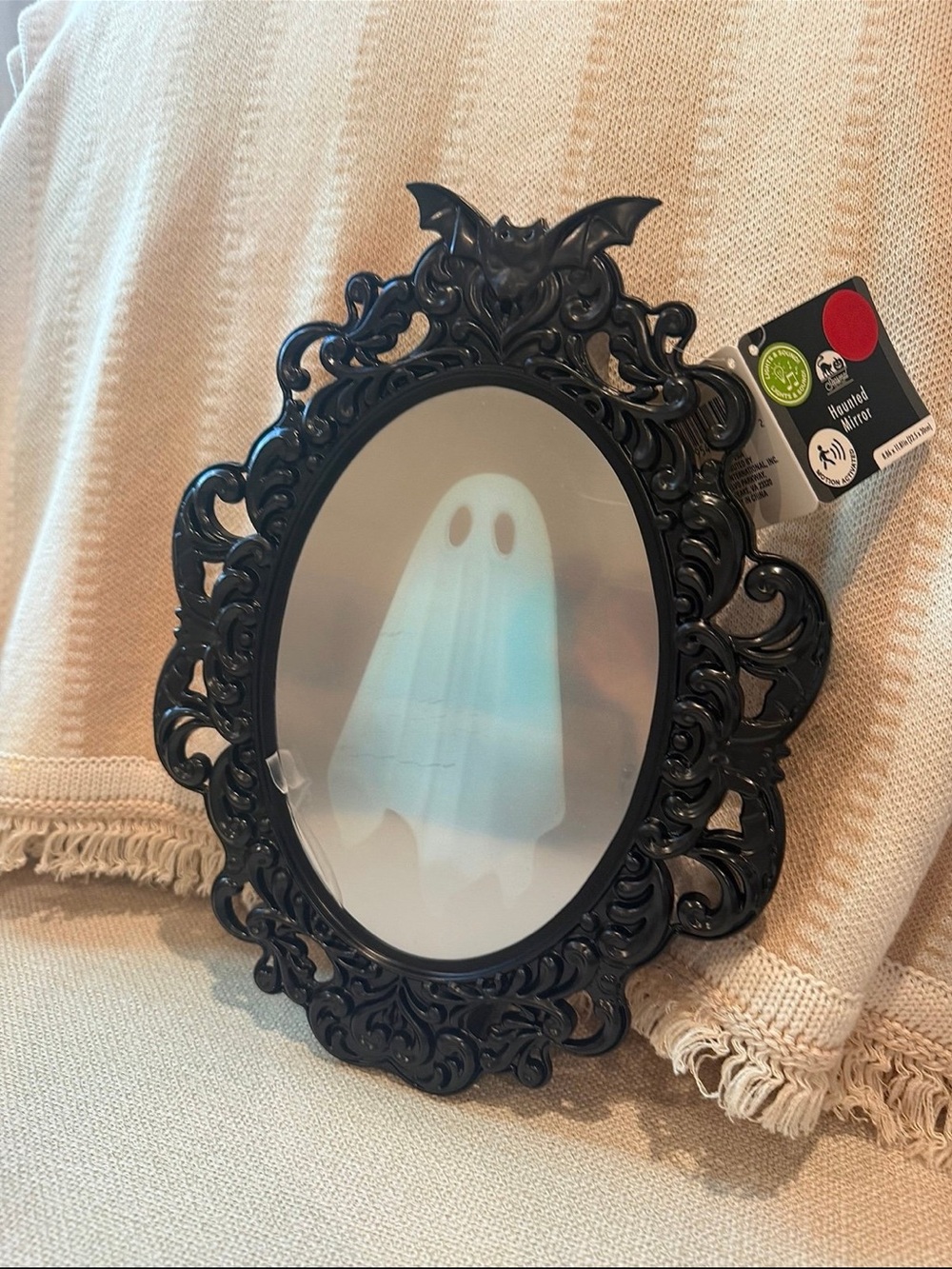 martha stewart ghost mirror DUPE